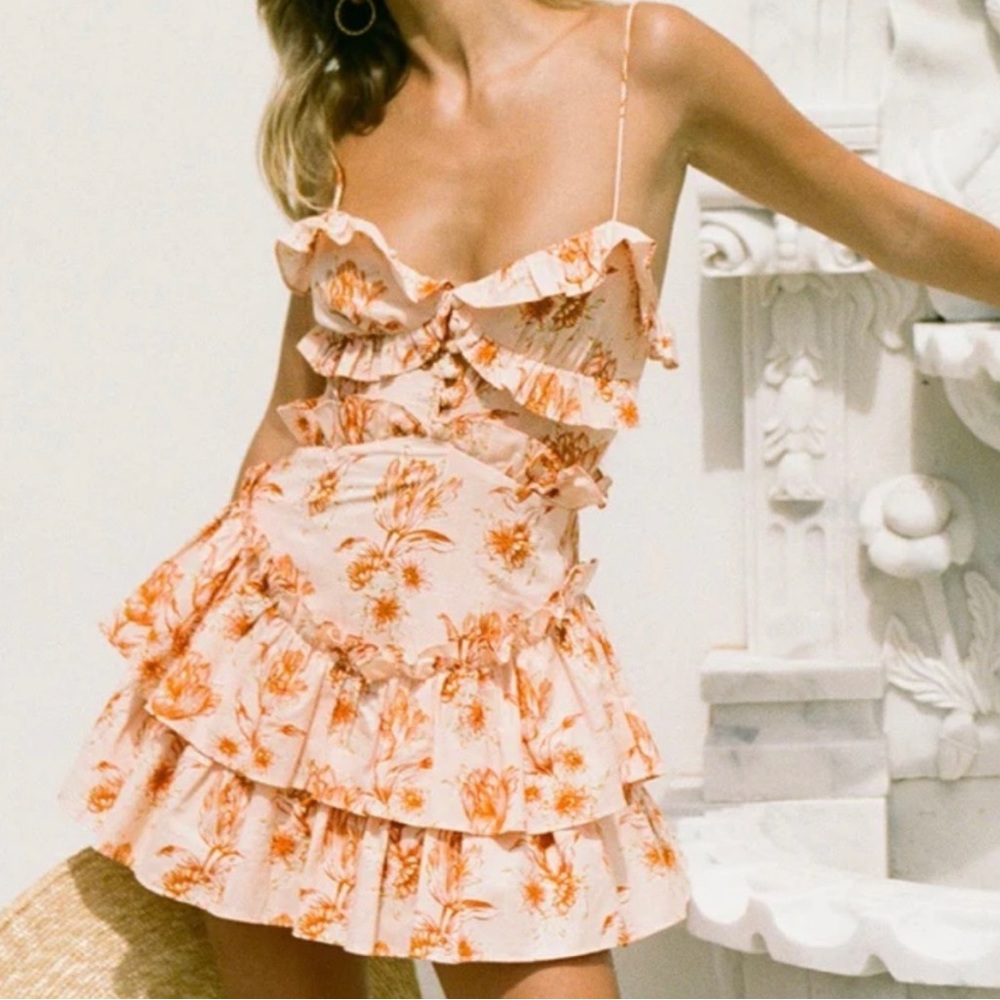 Sabo Skirt Pink Floral Ruffle Mini Dress